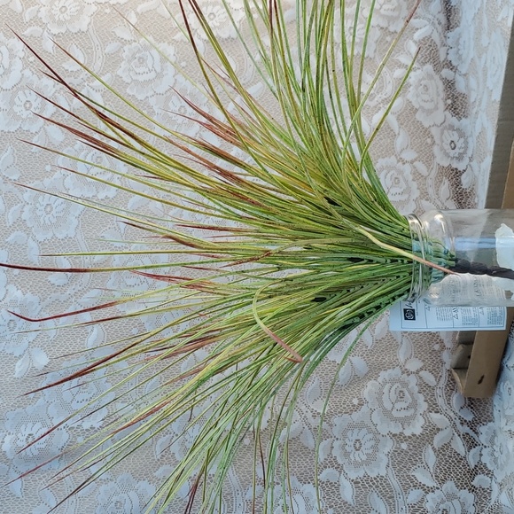 Home Interiors Flame tipped Bear grass bush 22" high New Artificial Floral - Picture 3 of 6